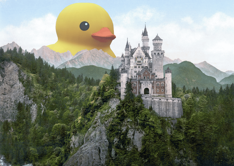 Duck Castle (2)