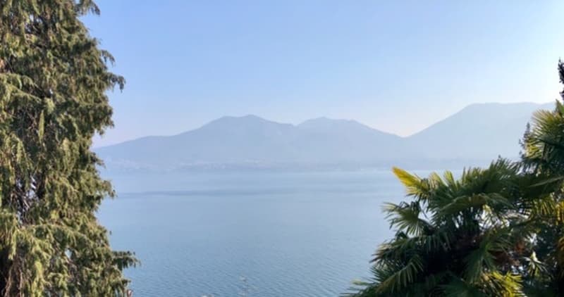 Ihr freier Blick auf den Lago Maggiore