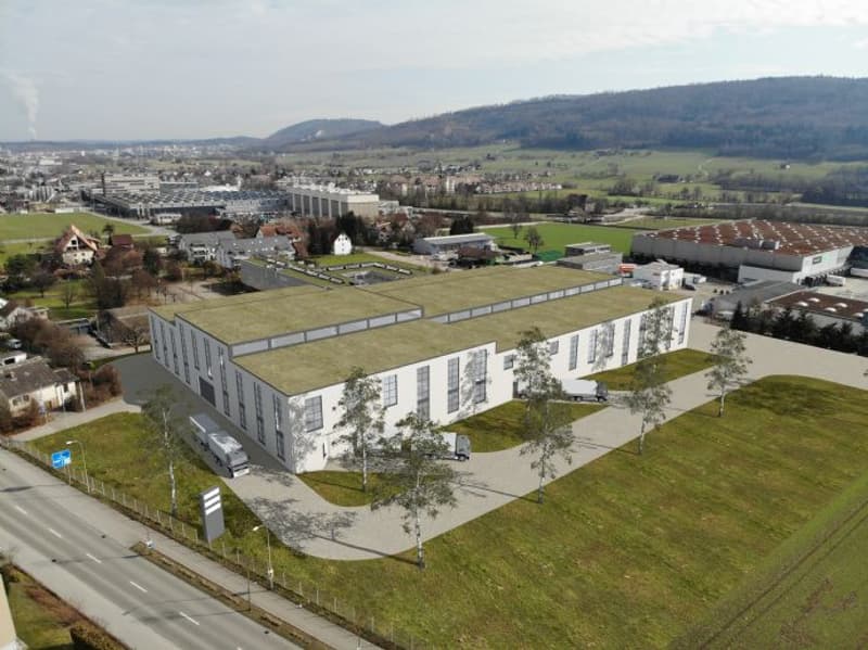 Visualisierung Industriehalle Rickenbach