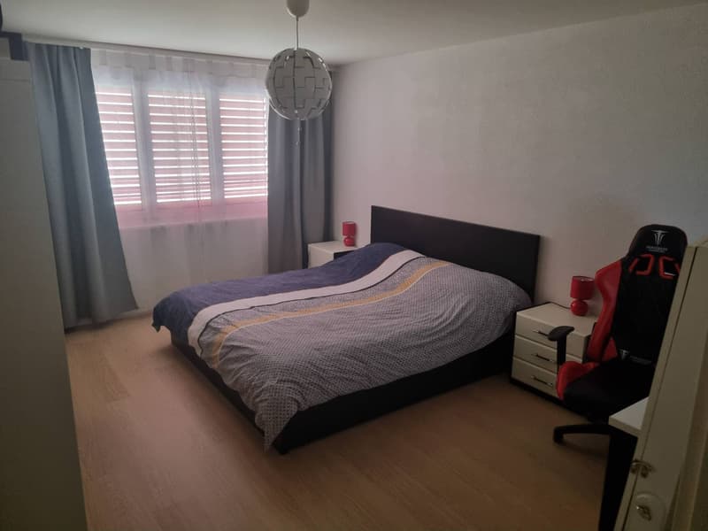 Appartement 2.5 Pièces - 1710 CHF/mois (+ 280 Charges) (3)