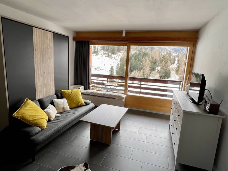 Siviez, 4 vallées, studio à louer au pied des pistes de ski (5)
