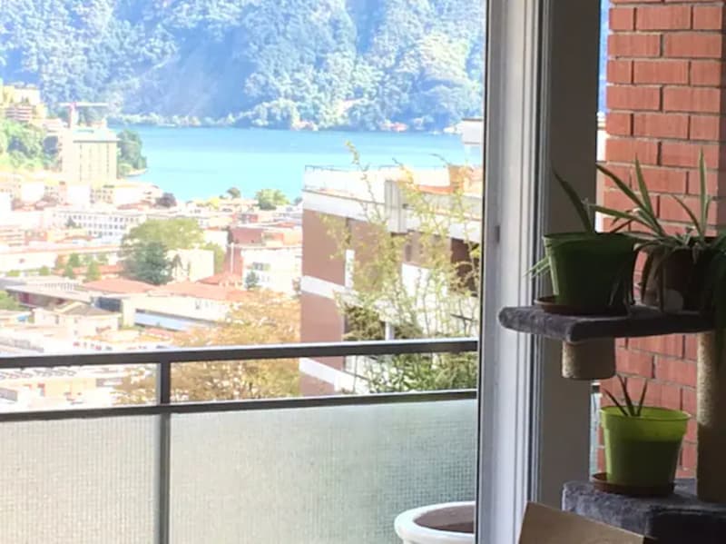 Luminoso appartamento zona civico a Lugano con vista lago (1)