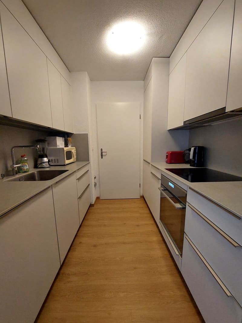 Flat to rent - Zurich 5.5 rooms - from 1st of May (2)