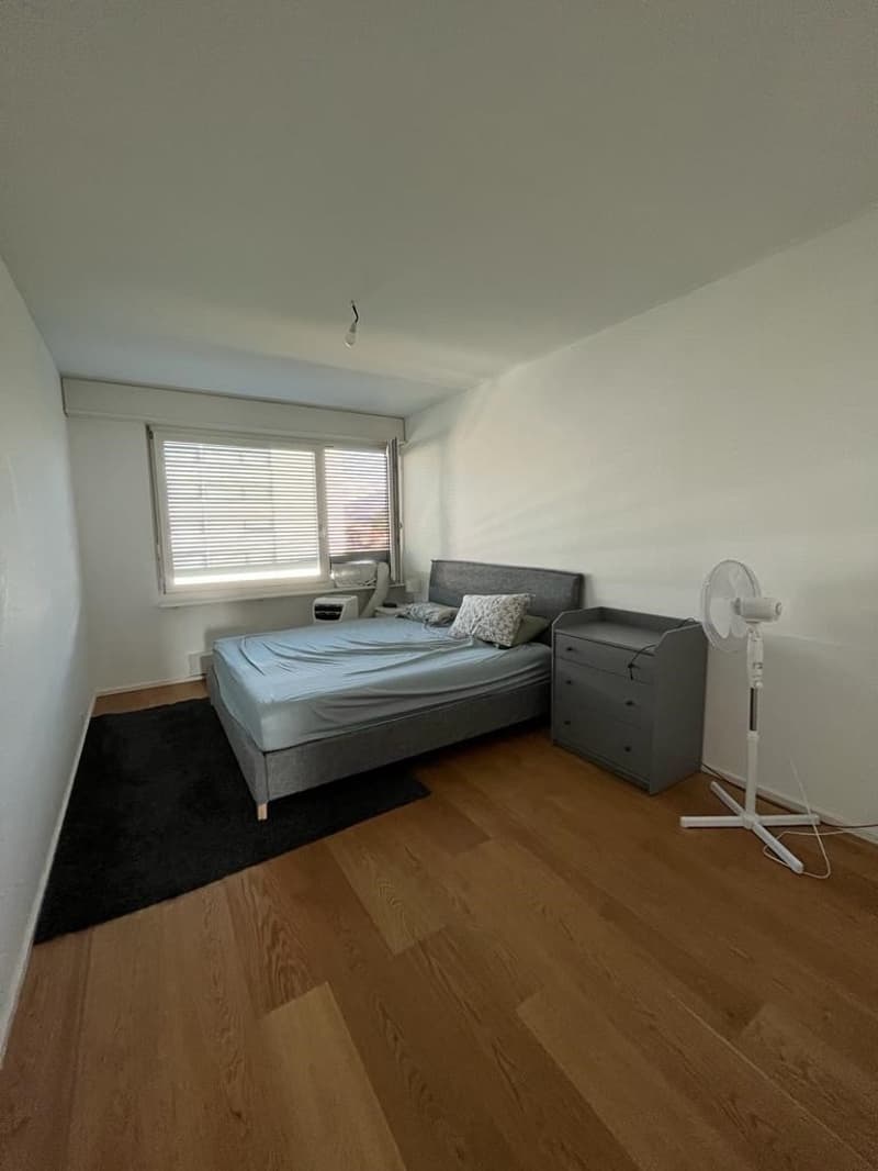 Bel espace moderne, ouvert, appartement rénové à louer/1203 (5)