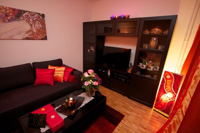 Magnificent 1.5-room apartment to rent in Servette (5)
