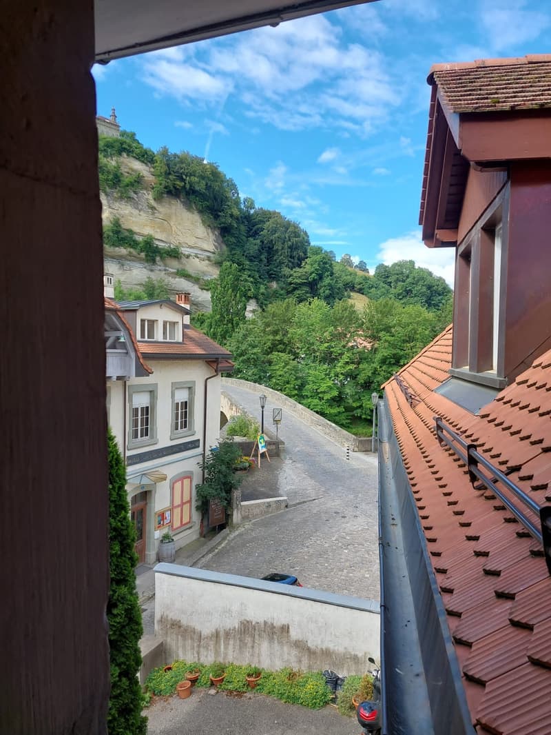 Appartement à louer en basse ville Fribourg (1)