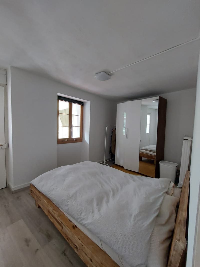 Appartement à louer en basse ville Fribourg (5)