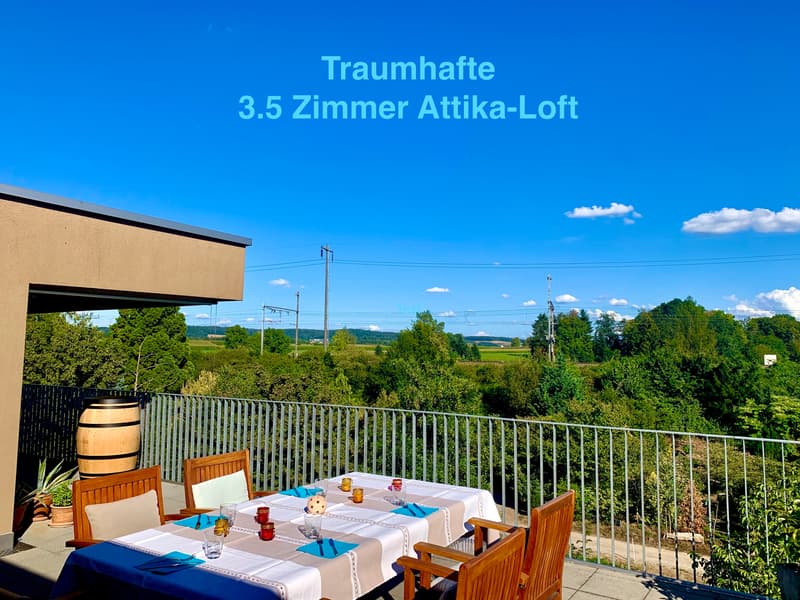 Helle Attikawohnung im Grünen mit grossen Terrassen (2x63m2) (1)