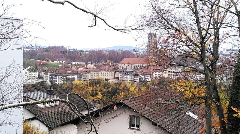 Appartement 4.5 pièces neuf au coeur du Stadtberg à Fribourg (1)