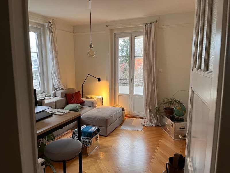 APPARTMENT 4.5 avc salon WITH VIEW 5 min FROM RENENS STATION (1)